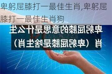 卑躬屈膝打一最佳生肖,卑躬屈膝打一最佳生肖狗