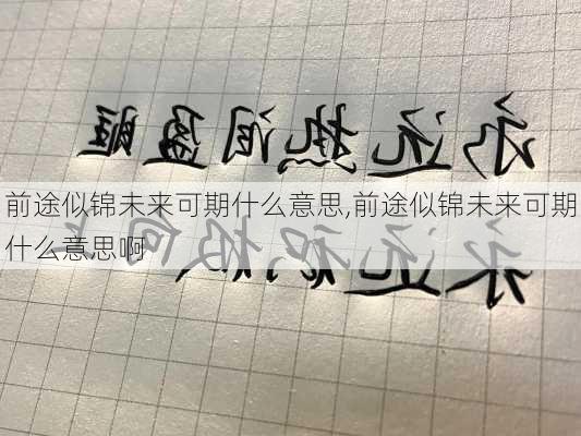 前途似锦未来可期什么意思,前途似锦未来可期什么意思啊