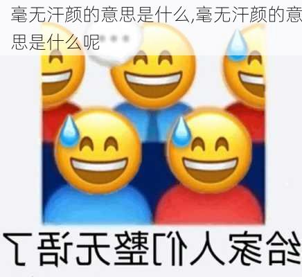 毫无汗颜的意思是什么,毫无汗颜的意思是什么呢