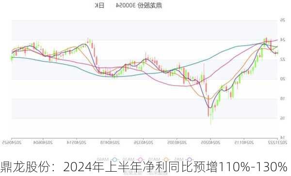 鼎龙股份：2024年上半年净利同比预增110%-130%