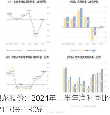 鼎龙股份：2024年上半年净利同比预增110%-130%