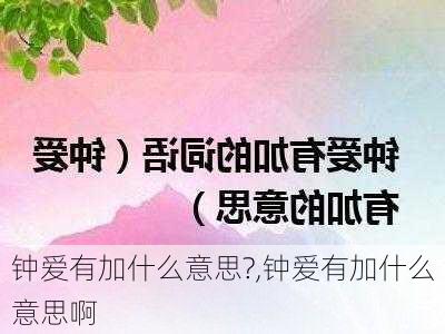 钟爱有加什么意思?,钟爱有加什么意思啊