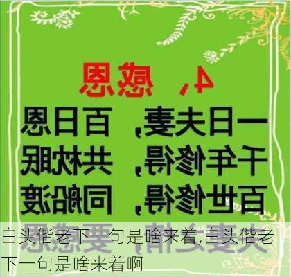 白头偕老下一句是啥来着,白头偕老下一句是啥来着啊