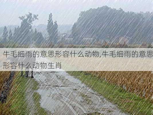 牛毛细雨的意思形容什么动物,牛毛细雨的意思形容什么动物生肖