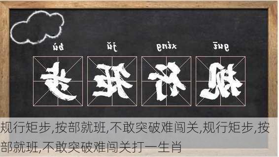 规行矩步,按部就班,不敢突破难闯关,规行矩步,按部就班,不敢突破难闯关打一生肖