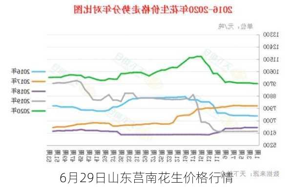 6月29日山东莒南花生价格行情