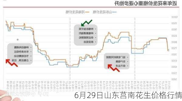 6月29日山东莒南花生价格行情