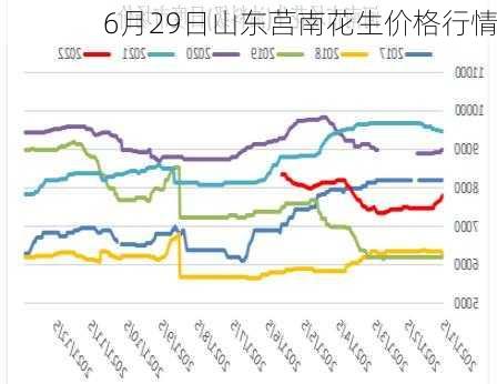 6月29日山东莒南花生价格行情