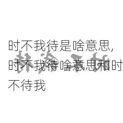 时不我待是啥意思,时不我待啥意思和时不待我