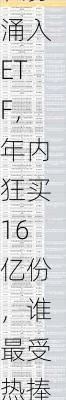 私募涌入ETF，年内狂买16亿份，谁最受热捧？