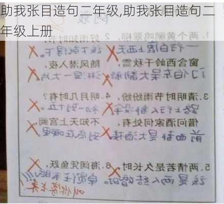 助我张目造句二年级,助我张目造句二年级上册