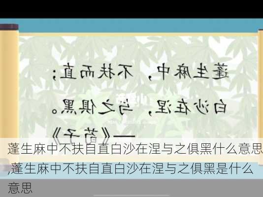 蓬生麻中不扶自直白沙在涅与之俱黑什么意思,蓬生麻中不扶自直白沙在涅与之俱黑是什么意思