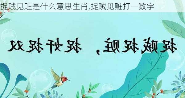 捉贼见赃是什么意思生肖,捉贼见赃打一数字