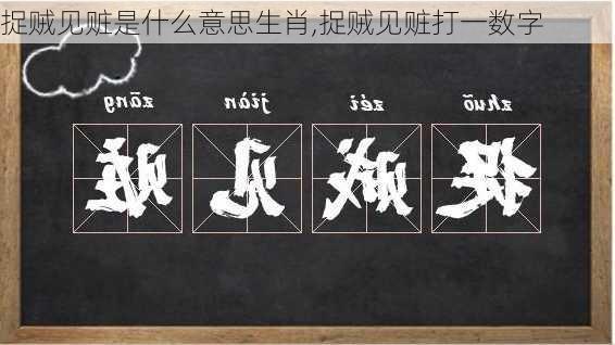 捉贼见赃是什么意思生肖,捉贼见赃打一数字