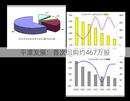 平潭发展：首次回购约467万股