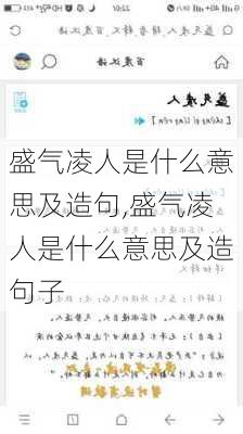 盛气凌人是什么意思及造句,盛气凌人是什么意思及造句子