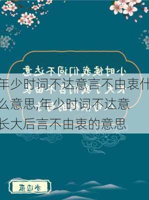 年少时词不达意言不由衷什么意思,年少时词不达意 长大后言不由衷的意思