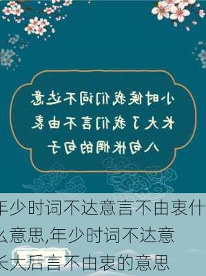 年少时词不达意言不由衷什么意思,年少时词不达意 长大后言不由衷的意思