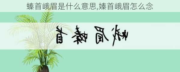 螓首峨眉是什么意思,嫀首峨眉怎么念