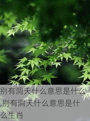 别有洞天什么意思是什么,别有洞天什么意思是什么生肖