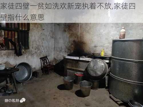 家徒四壁一贫如洗欢新宠执着不放,家徒四壁指什么意思