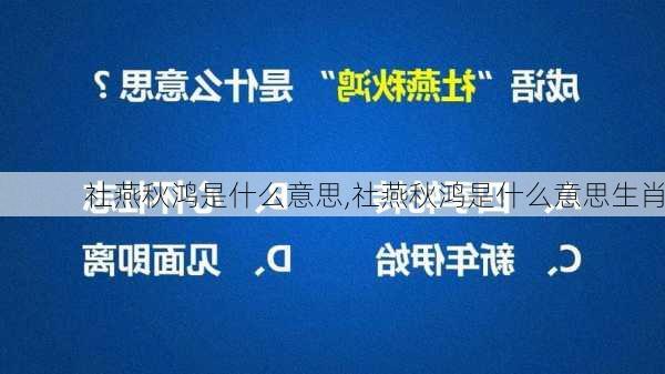 社燕秋鸿是什么意思,社燕秋鸿是什么意思生肖