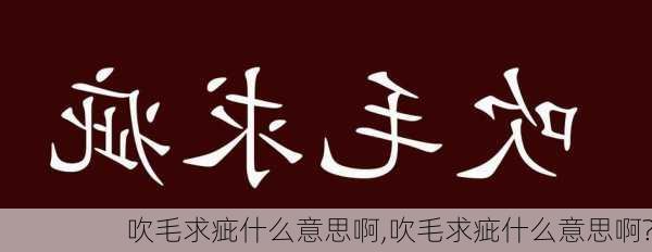 吹毛求疵什么意思啊,吹毛求疵什么意思啊?