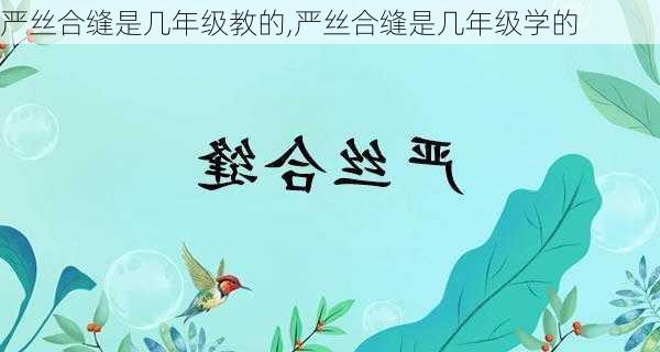 严丝合缝是几年级教的,严丝合缝是几年级学的