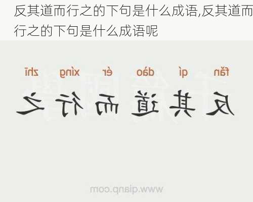 反其道而行之的下句是什么成语,反其道而行之的下句是什么成语呢