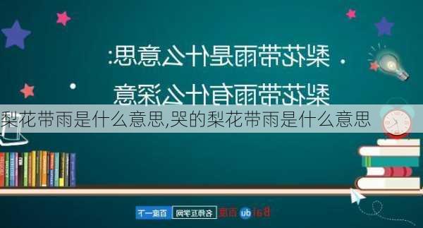 梨花带雨是什么意思,哭的梨花带雨是什么意思