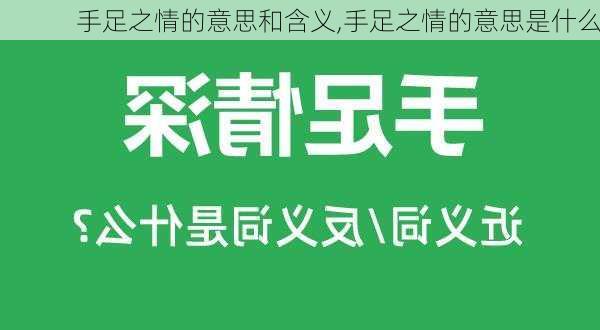 手足之情的意思和含义,手足之情的意思是什么