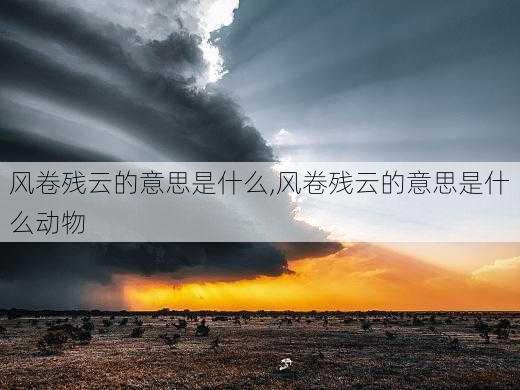 风卷残云的意思是什么,风卷残云的意思是什么动物