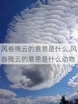 风卷残云的意思是什么,风卷残云的意思是什么动物