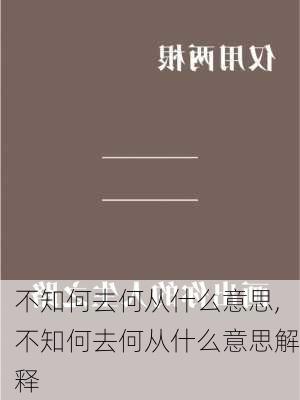 不知何去何从什么意思,不知何去何从什么意思解释