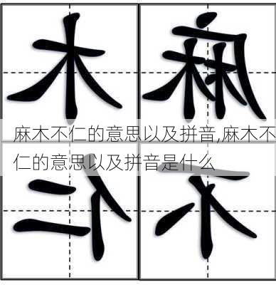 麻木不仁的意思以及拼音,麻木不仁的意思以及拼音是什么