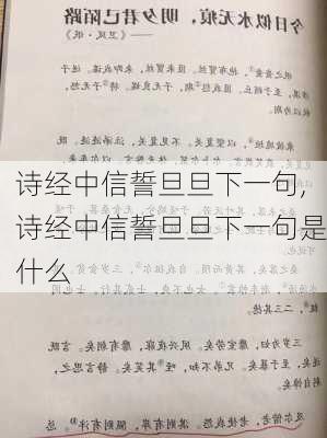 诗经中信誓旦旦下一句,诗经中信誓旦旦下一句是什么