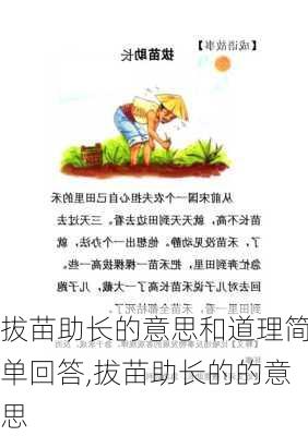 拔苗助长的意思和道理简单回答,拔苗助长的的意思