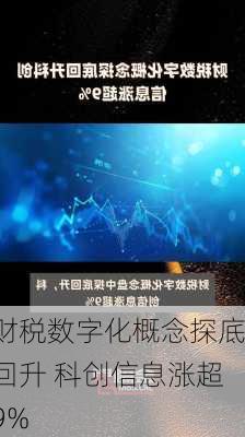 财税数字化概念探底回升 科创信息涨超9%