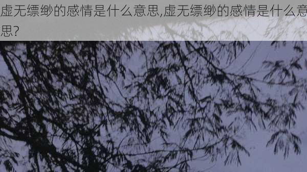 虚无缥缈的感情是什么意思,虚无缥缈的感情是什么意思?