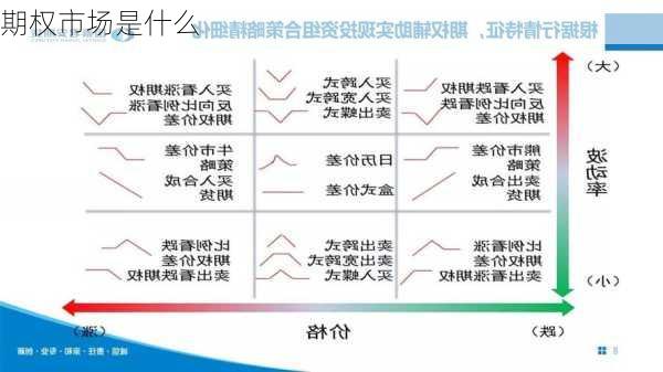 期权市场是什么