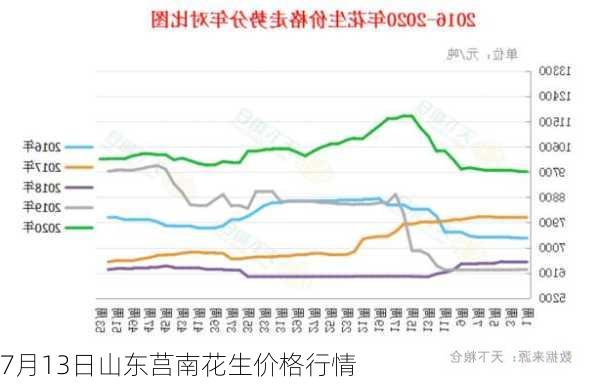 7月13日山东莒南花生价格行情