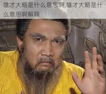 雄才大略是什么意思啊,雄才大略是什么意思啊解释