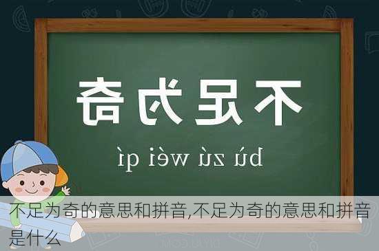 不足为奇的意思和拼音,不足为奇的意思和拼音是什么