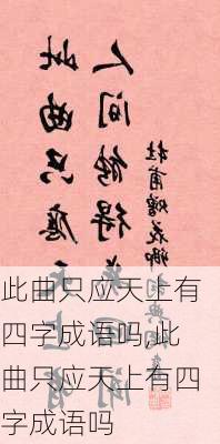 此曲只应天上有四字成语吗,此曲只应天上有四字成语吗