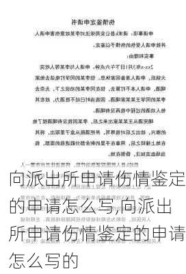 向派出所申请伤情鉴定的申请怎么写,向派出所申请伤情鉴定的申请怎么写的