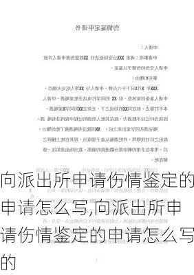 向派出所申请伤情鉴定的申请怎么写,向派出所申请伤情鉴定的申请怎么写的