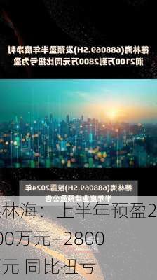 德林海：上半年预盈2100万元―2800万元 同比扭亏