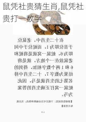 鼠凭社贵猜生肖,鼠凭社贵打一数字