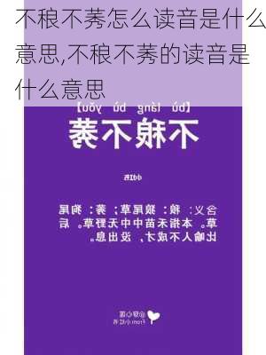 不稂不莠怎么读音是什么意思,不稂不莠的读音是什么意思