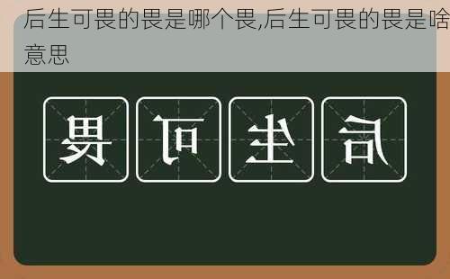 后生可畏的畏是哪个畏,后生可畏的畏是啥意思